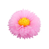 Бумажный цветок 30 см розовый+желтый