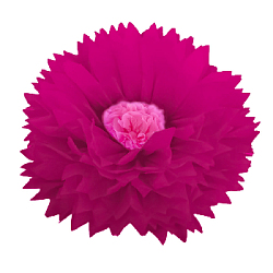Бумажный цветок 40 см малиновый+розовый