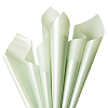 Плёнка CALOR бело-салатовый 40г/м 60х60 см 20 листов