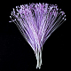 photo-2980068